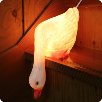 Heico Montreal Quebec Canada deco decoration chambre d'enfants veilleuse nightlamp duck looking down canard regardant vers le bas oie