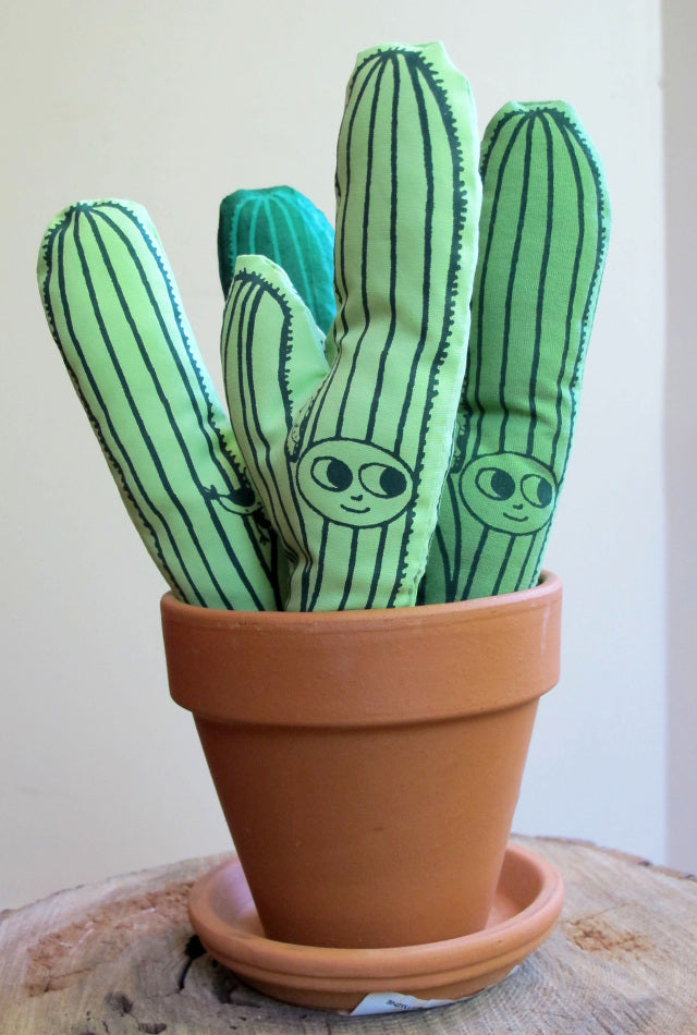 Mon ami Sagaro Hochet cactus la fée raille rattle