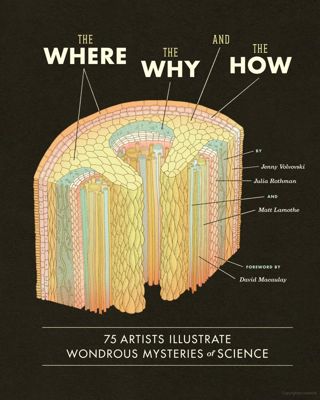 The where the why and the how.