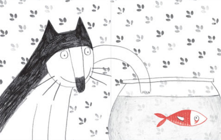 the fish and the cat marianne dubuc