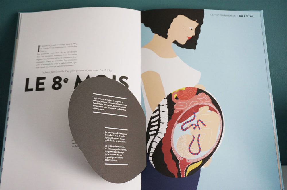 naissance hélène druvert