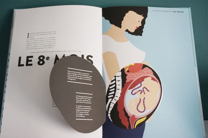 naissance hélène druvert