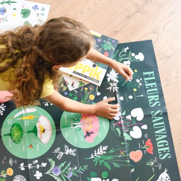 Affiche découverte et autocollants repositionnables - Botanique