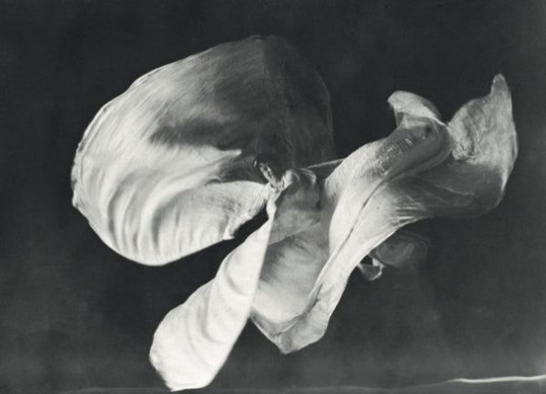 La fleur qui me ressemble - Loïe Fuller