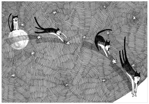 the fish and the cat marianne dubuc