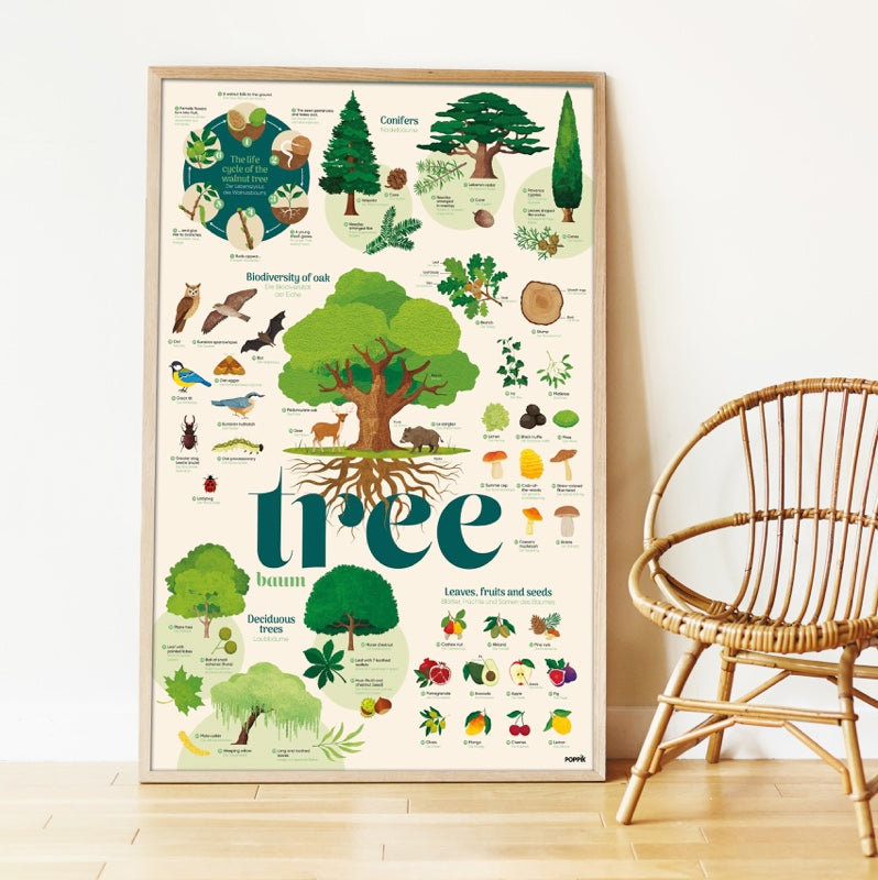Affiche découverte et autocollants repositionnables arbres