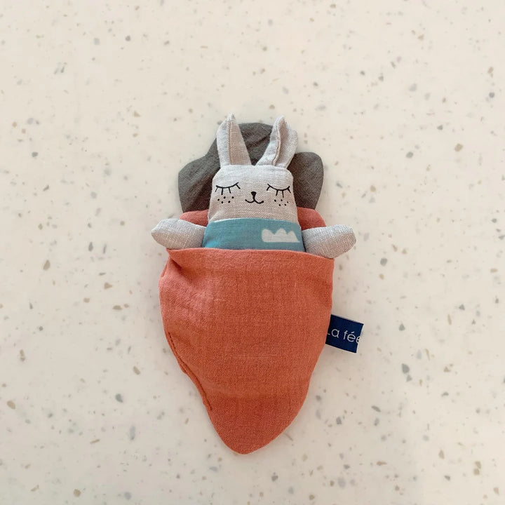 Billie mini lapin Nuage dans sac de couchage carotte 