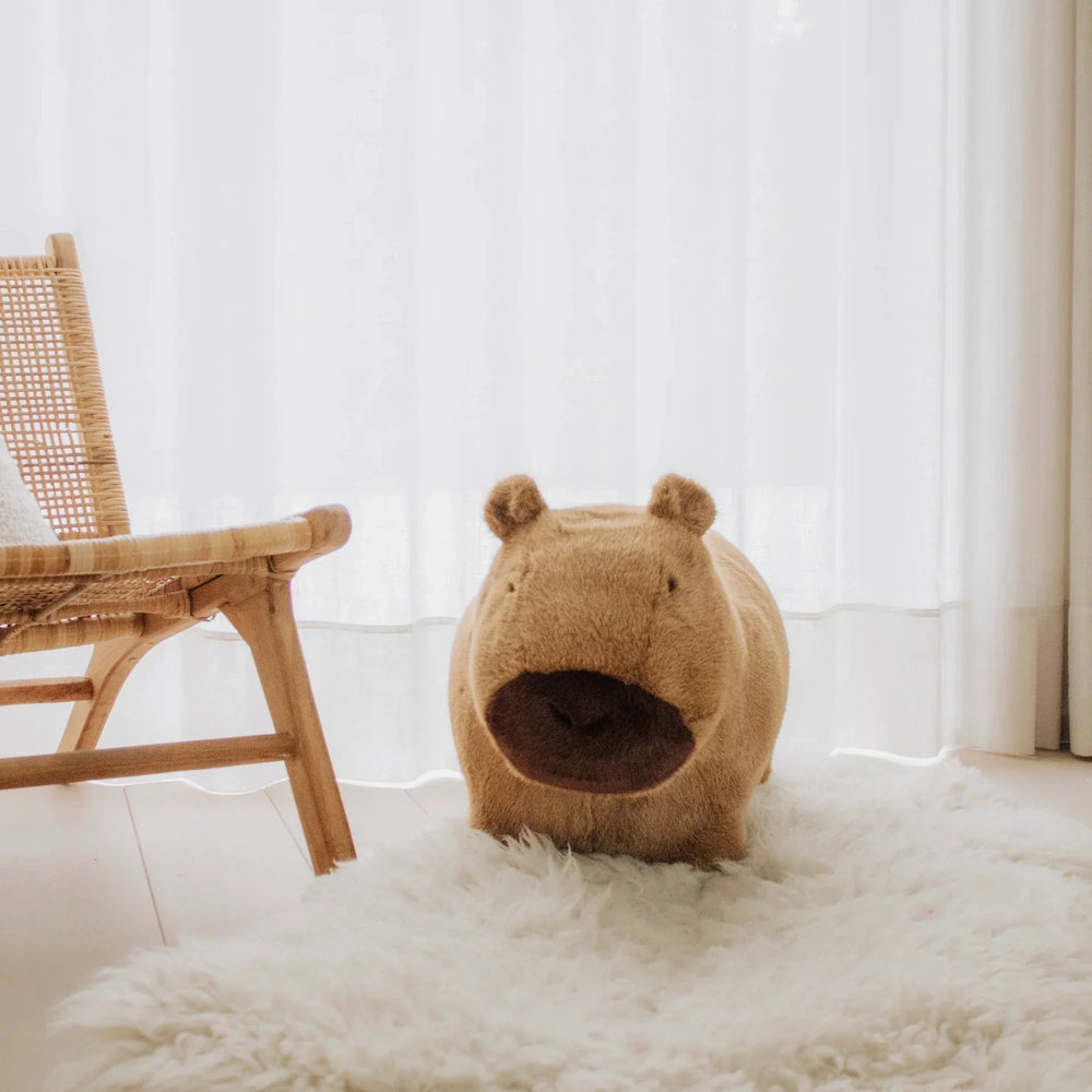Capybara doux et rebondissant