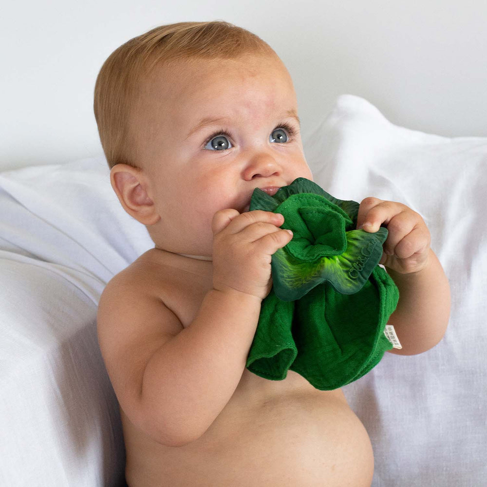 Bébé avec Mini Doudou et Anneau de Dentition en caoutchouc en forme de Chou Frisé