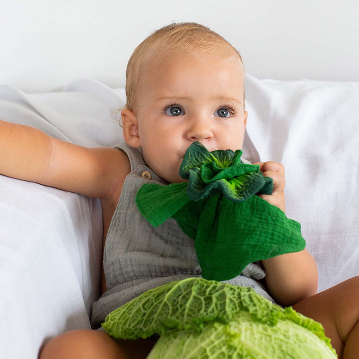 bébé avec Mini Doudou et Anneau de Dentition en caoutchouc en forme de Chou Frisé