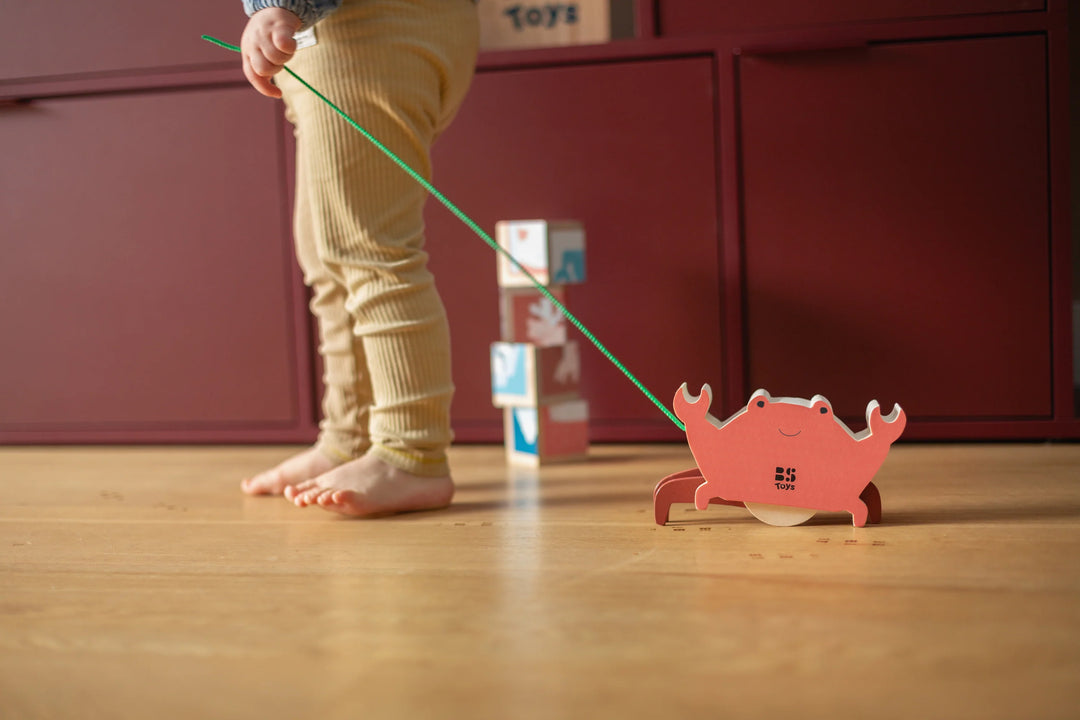 Enfant avec Crabe à tirer en bois