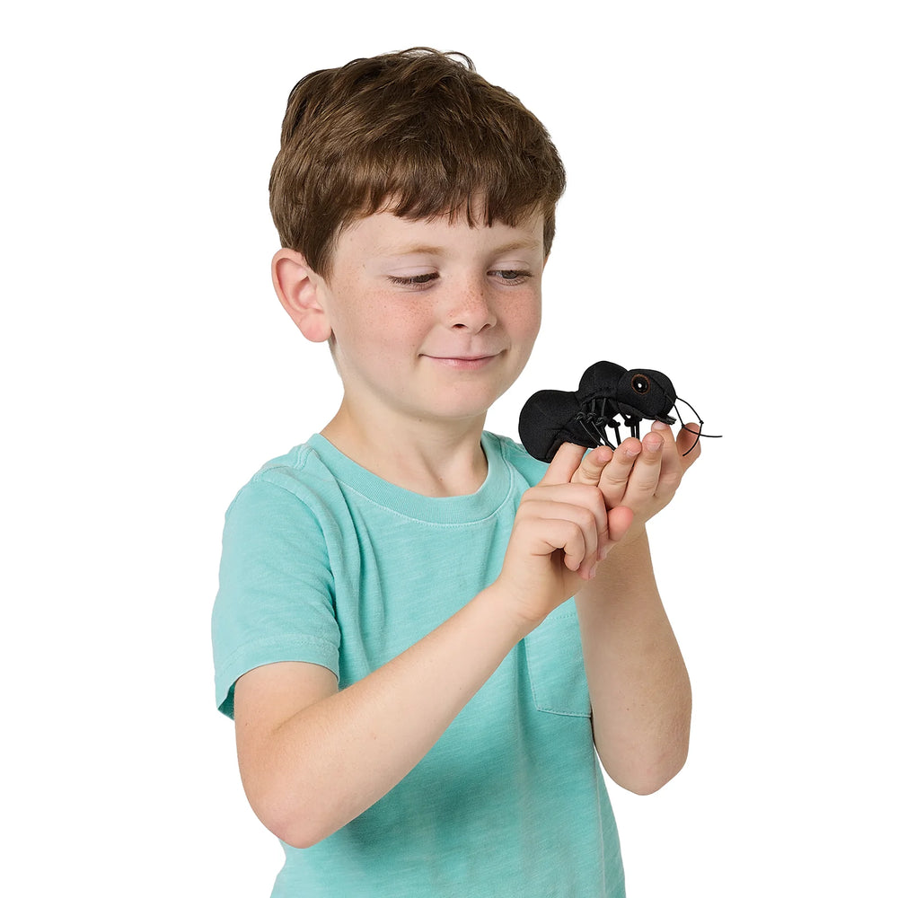 Enfant avec Marionnette à doigt Mini fourmi