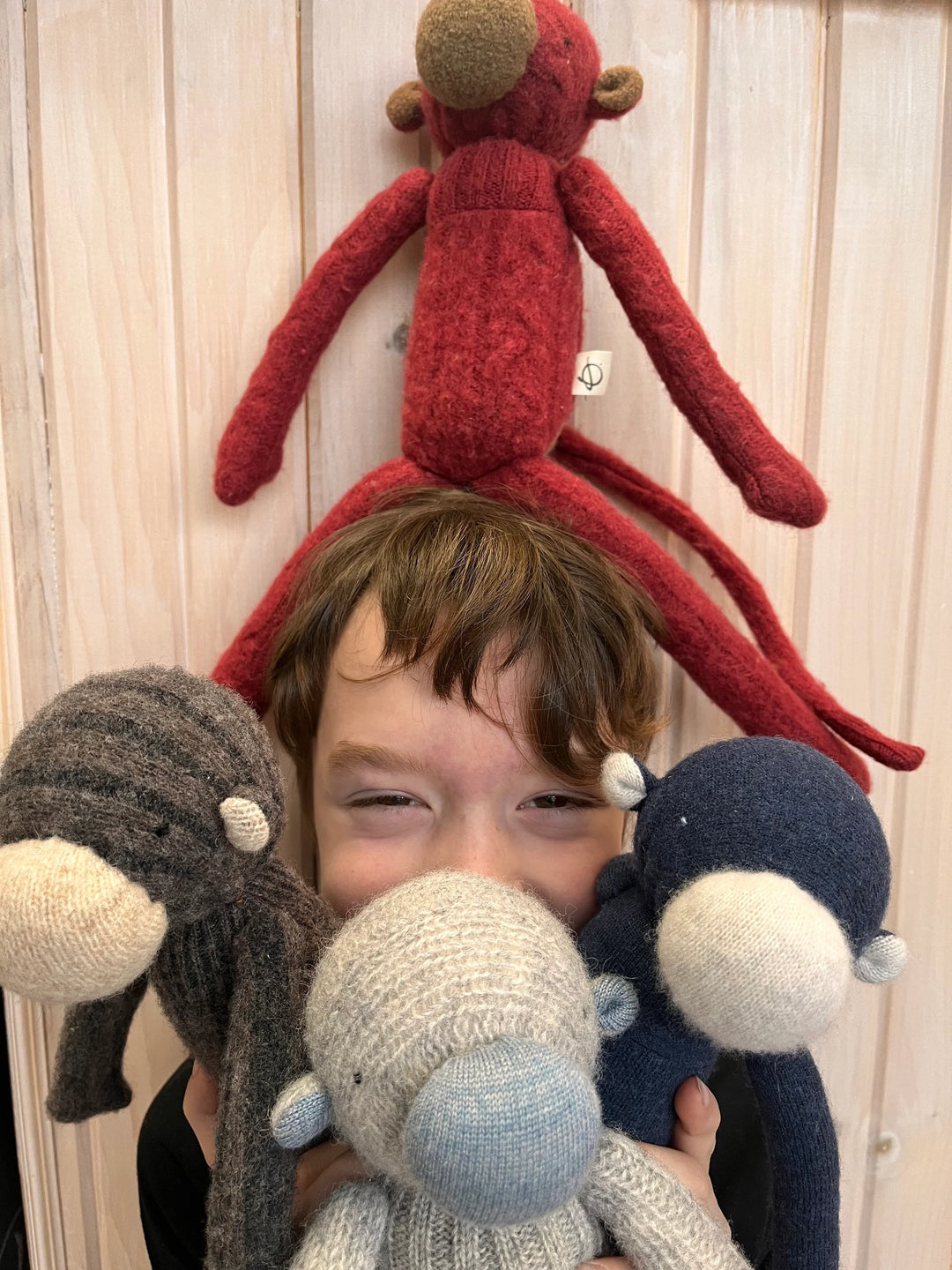 Enfant avec singes en laine
