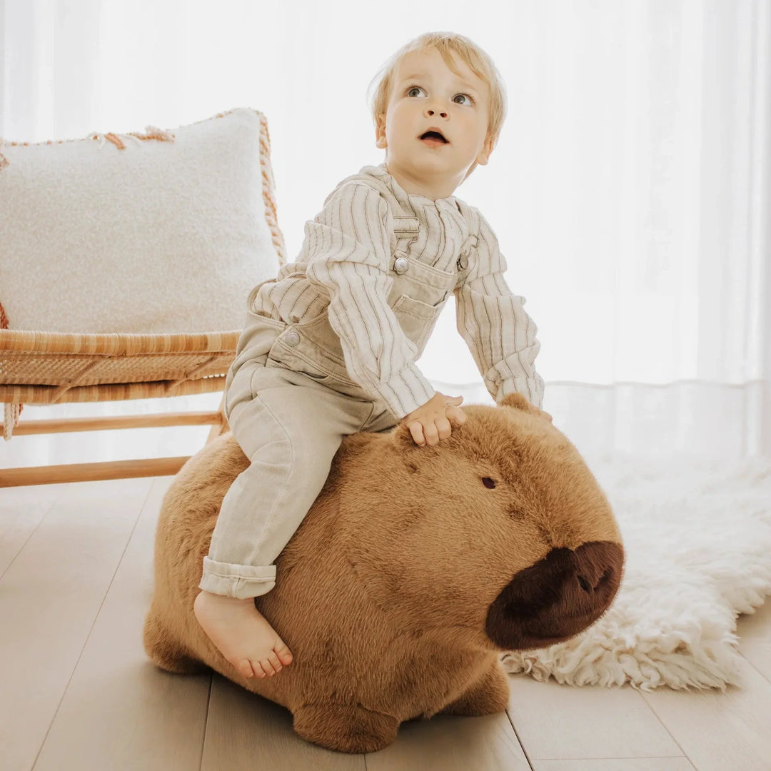 Enfant sur Capybara doux et rebondissant