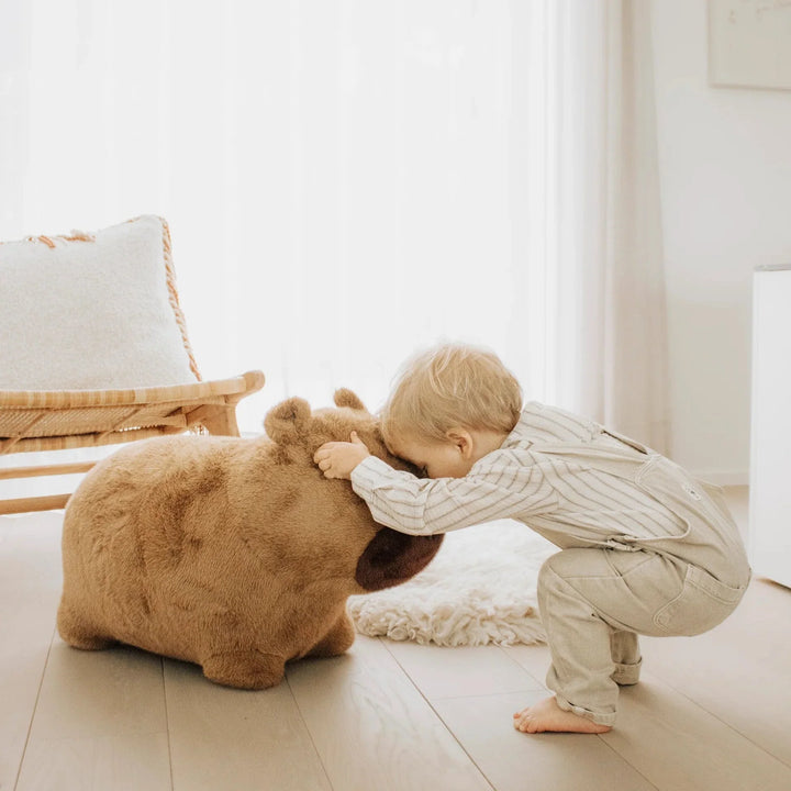 Garçon avec Capybara doux et rebondissant