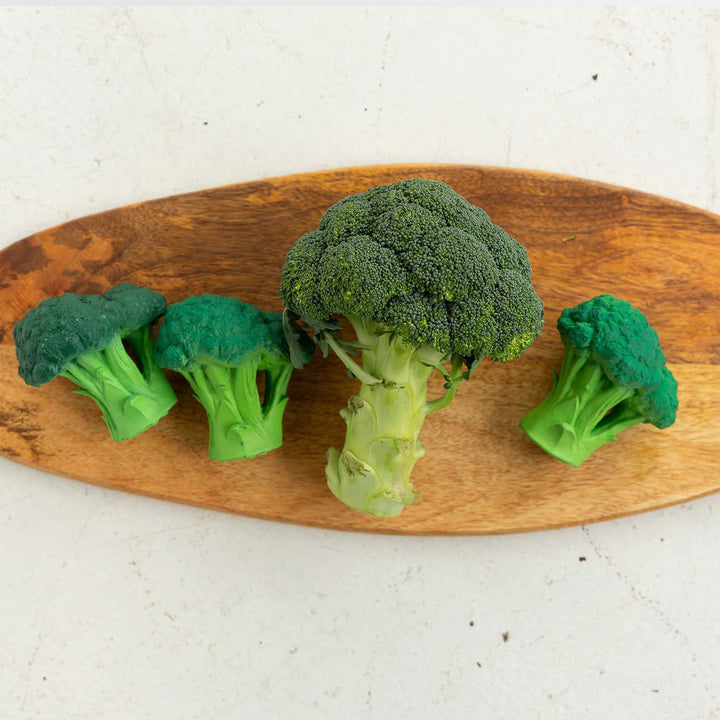 Jouets de dentition en caoutchouc en forme de brocoli avec un vrais brocolis