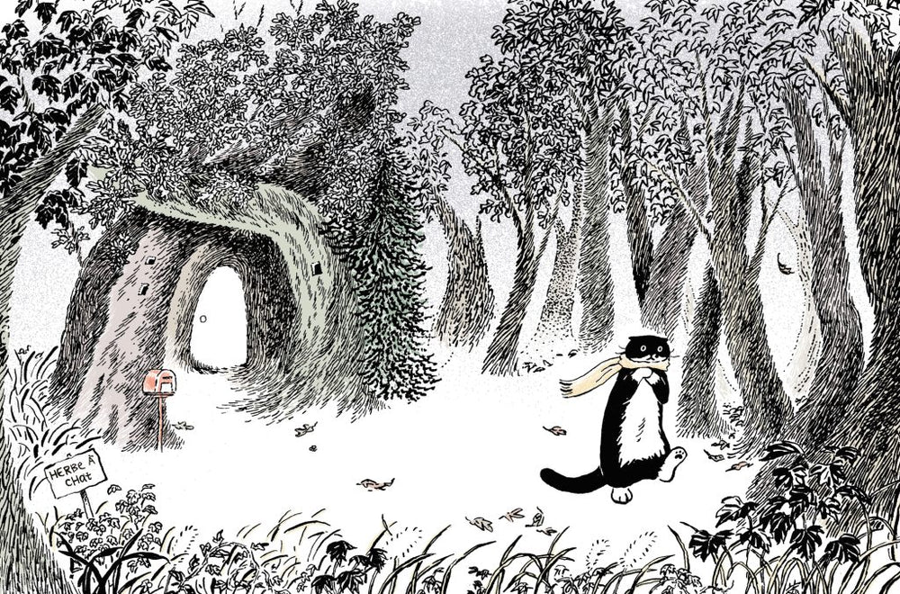 Livre jeunesse L'étoile de Mo 