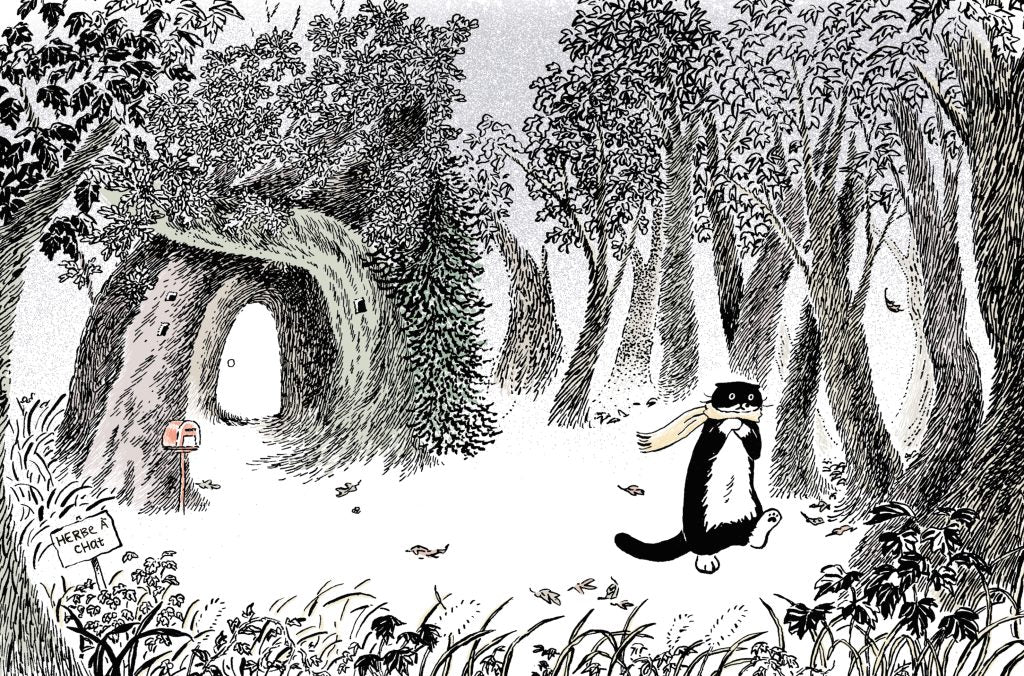 Livre jeunesse L'étoile de Mo 