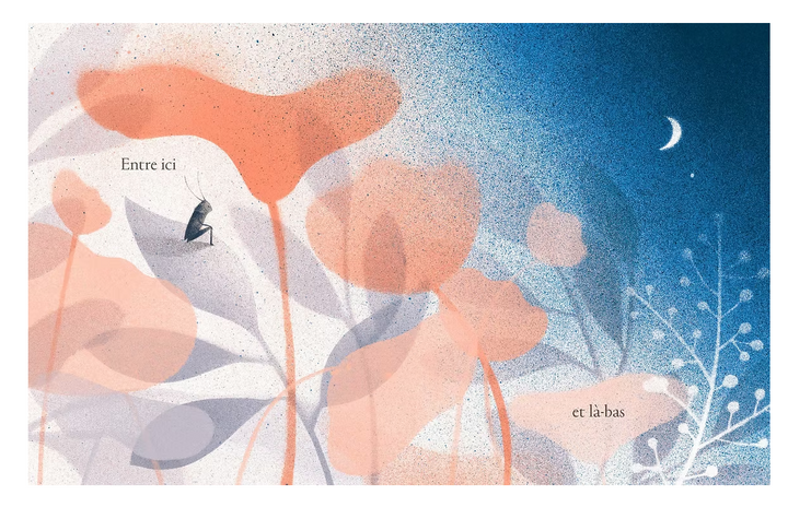 Livre jeunesse Entre toi et moi, petit secret d'amitié