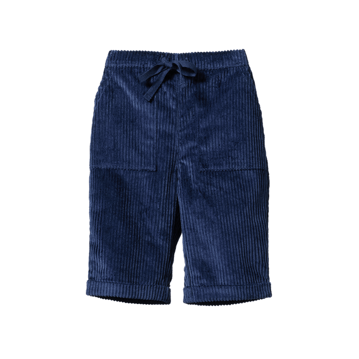 Pantalon en velours côtelé marine