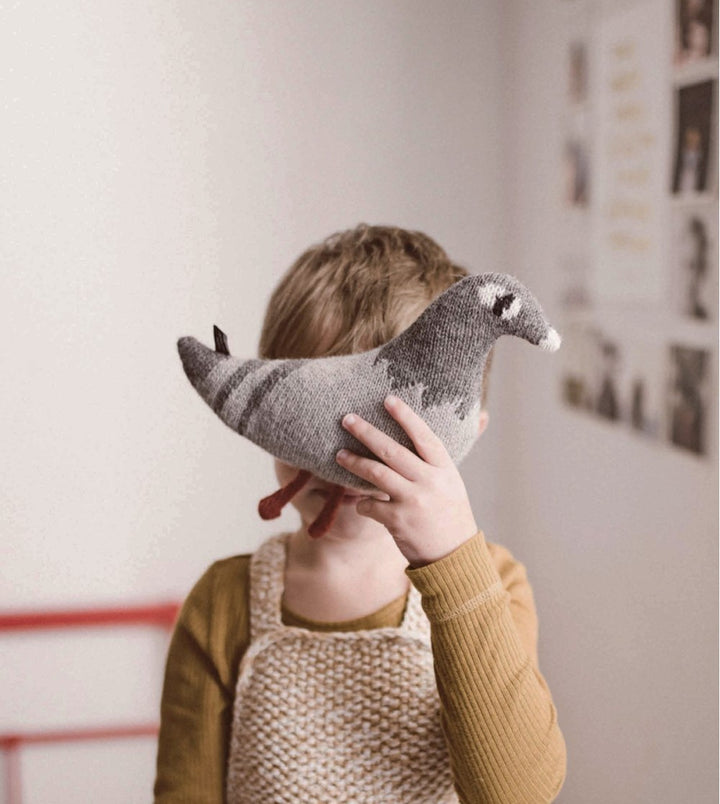 Enfant avec Pigeon en tricot gris 