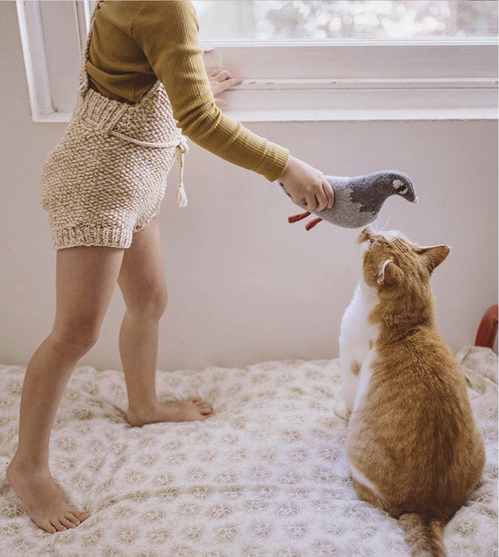 Enfant et chat avec Pigeon en tricot gris 