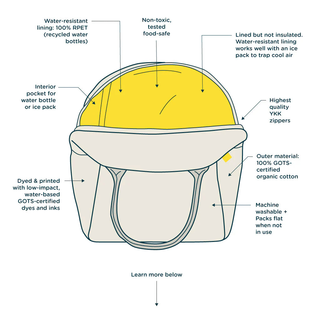 Specifications de Boîte à lunch Fluf 