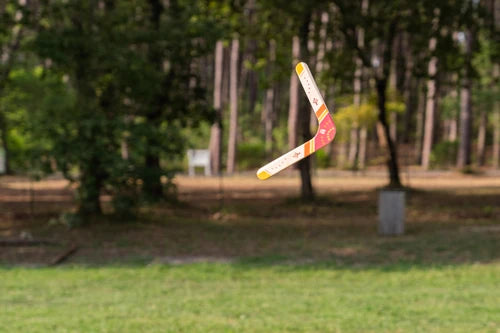 boomerang en bois