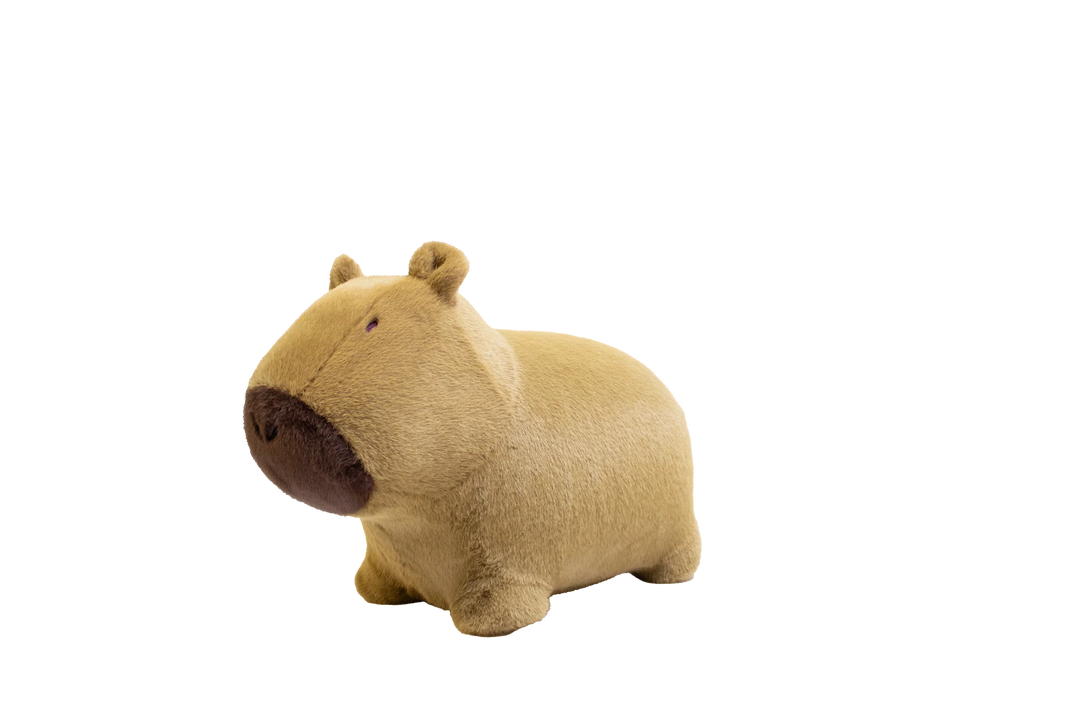 Capybara doux et rebondissant
