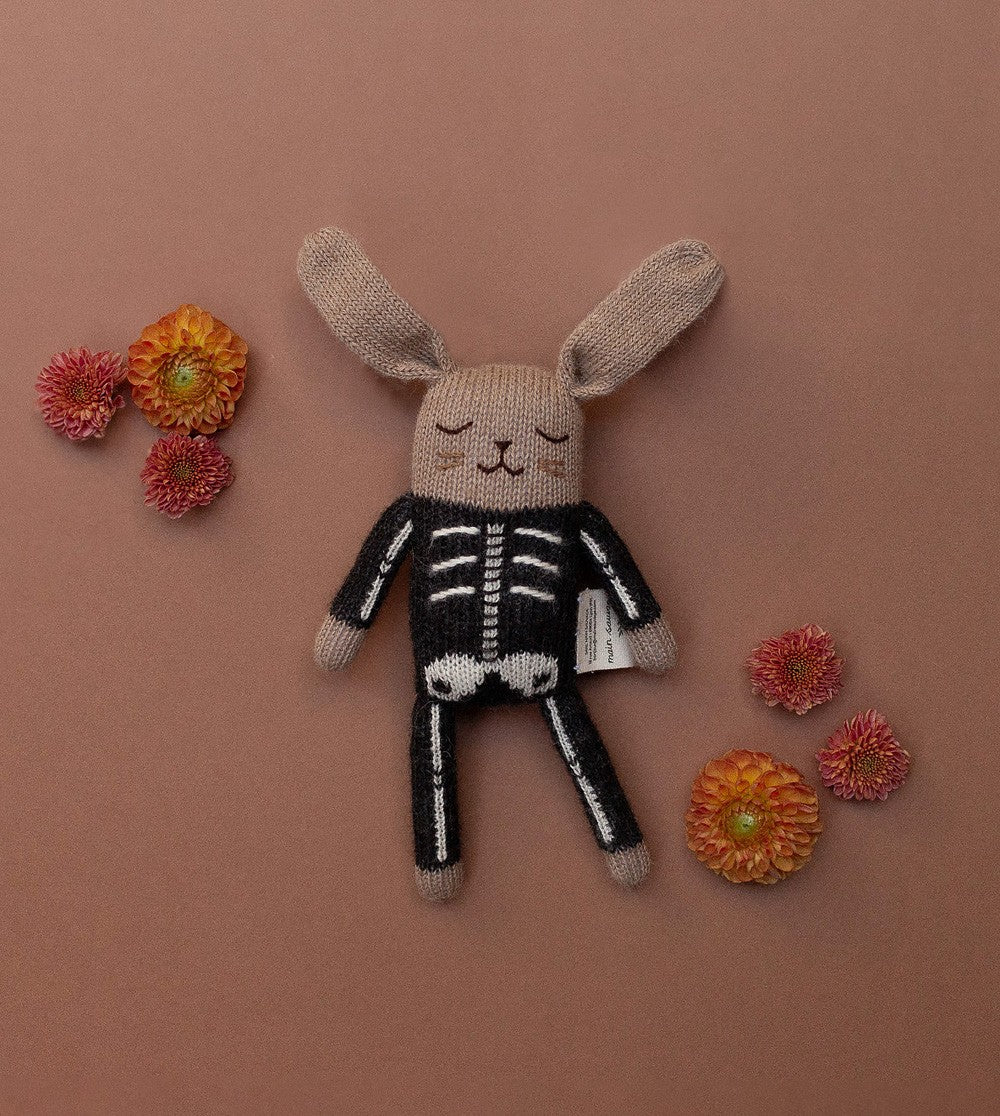 Petit lapin en tricot Squelette 