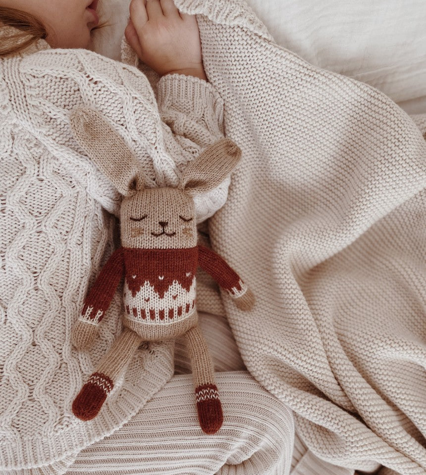 Bébé avec Doudou Petit lapin en tricot avec Pull jacquard sienne