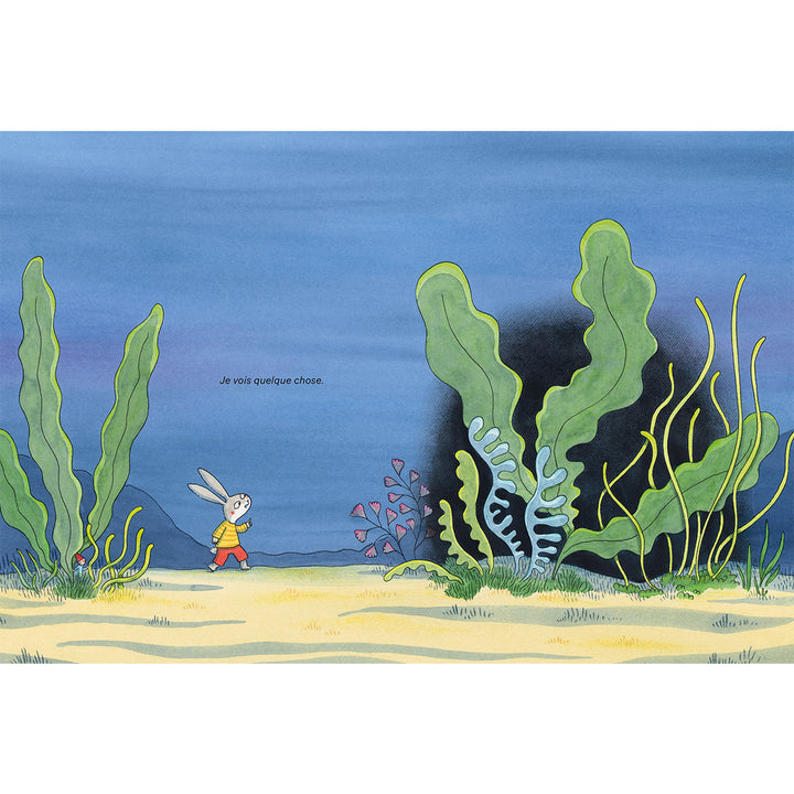 Illustration du Livre jeunesse Flop et le lac de Marianne Dubuc