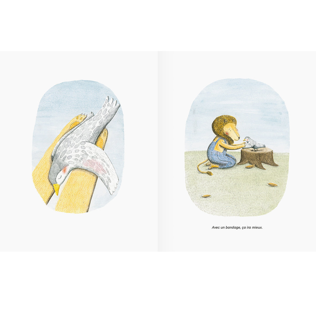 Page du Livre jeunesse Le lion et l'oiseau de Marianne Dubuc