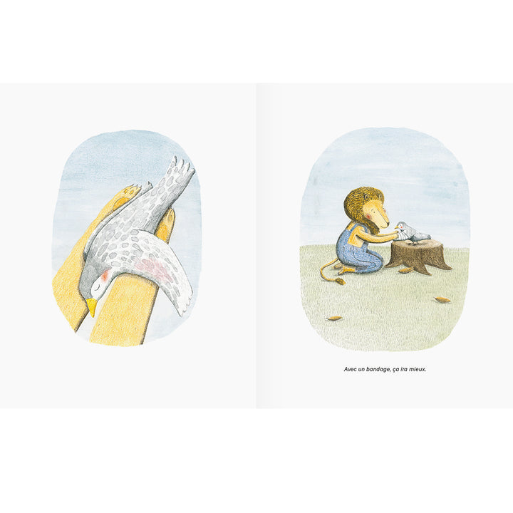 Page du Livre jeunesse Le lion et l'oiseau de Marianne Dubuc