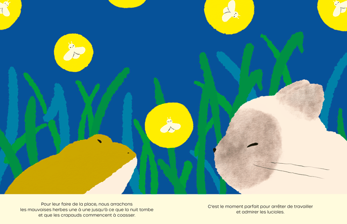 Pages du Livre jeunesse Le Potager de Maia Judith