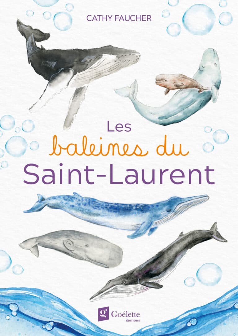 Les baleines du Saint-Laurent par Cathy Faucher