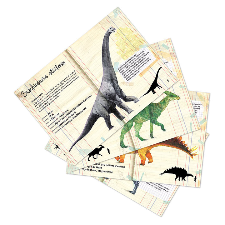 Fiches de Coffret de 21 magnets dinosaures