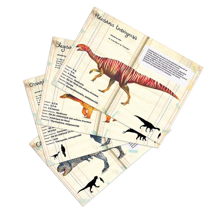 Fiches de Coffret de 21 magnets dinosaures