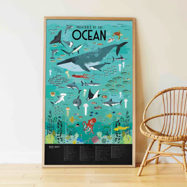 poppik poster affiche discovery ocean - marine life scene with whales and fish