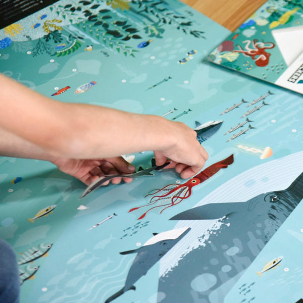 close up of hands putting a sticker on a poster representing marine life