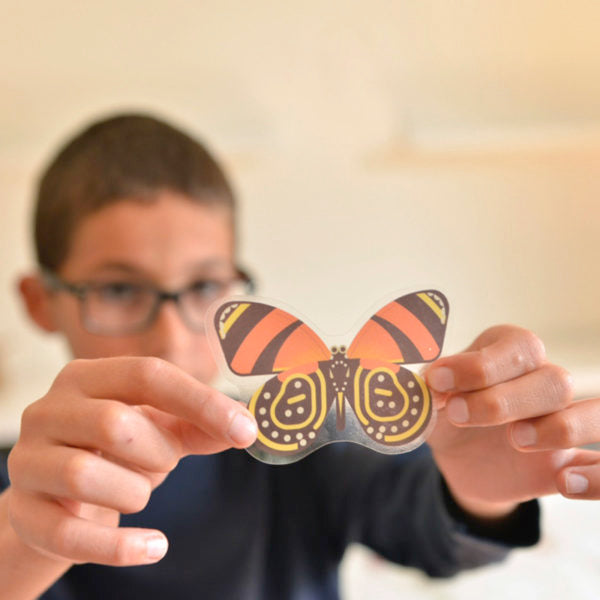 kid holding a butterfly sticker