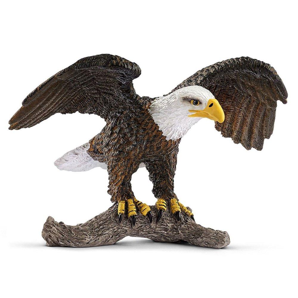 The Virgin American Bald Eagle vs The Chad Brazilian Harpy Eagle