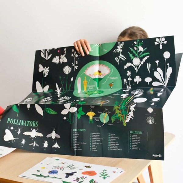 Discovery Poster + Removable Stickers - Botanical