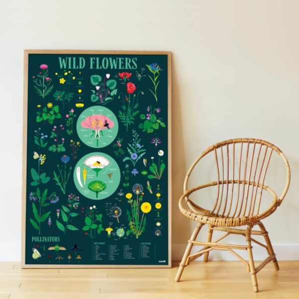 Discovery Poster + Removable Stickers - Botanical